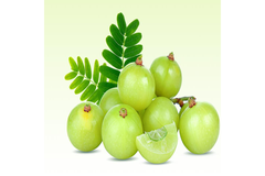 Image Amla berry